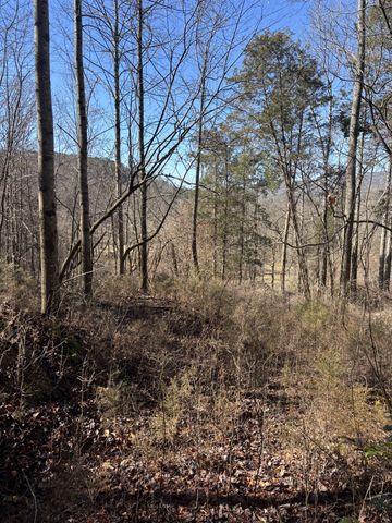 15634 Old State Highway 28, Pikeville, TN 37367