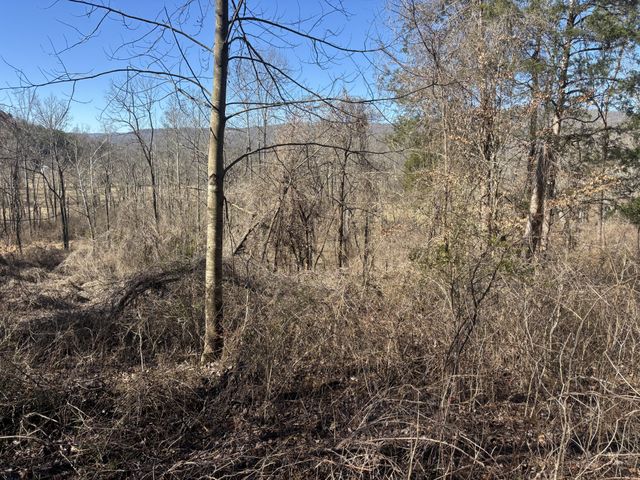15634 Old State Highway 28, Pikeville, TN 37367
