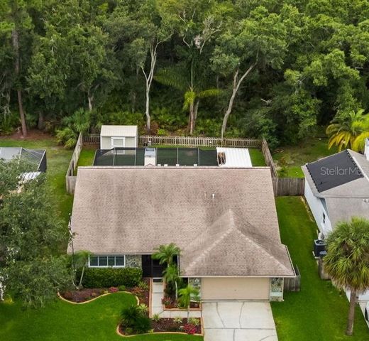 11910 STEPPINGSTONE BLVD BOULEVARD, Tampa, FL 33635