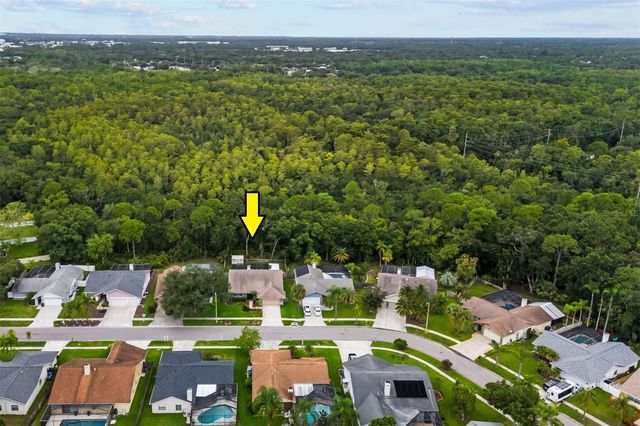 11910 STEPPINGSTONE BLVD BOULEVARD, Tampa, FL 33635