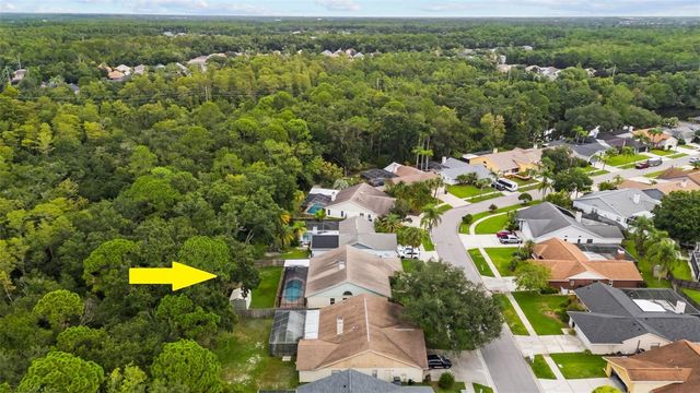 11910 STEPPINGSTONE BLVD BOULEVARD, Tampa, FL 33635
