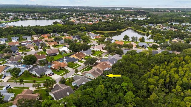 11910 STEPPINGSTONE BLVD BOULEVARD, Tampa, FL 33635