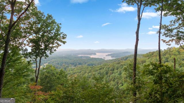 907 Ripshin Mountain Road, Blue Ridge, GA 30513