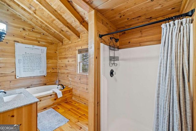 907 Ripshin Mountain Road, Blue Ridge, GA 30513