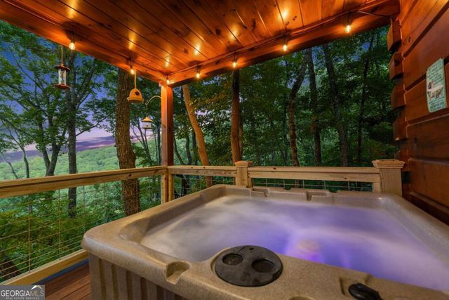 907 Ripshin Mountain Road, Blue Ridge, GA 30513