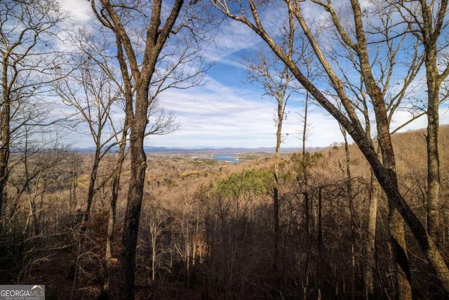 907 Ripshin Mountain Road, Blue Ridge, GA 30513