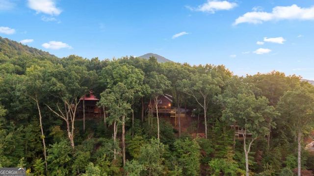 907 Ripshin Mountain Road, Blue Ridge, GA 30513