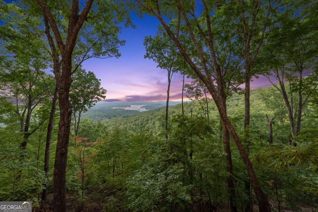 907 Ripshin Mountain Road, Blue Ridge, GA 30513