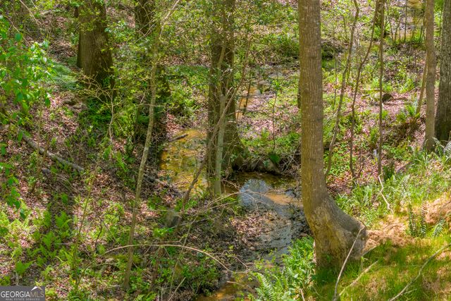 1715 Faye Carey Road, Danielsville, GA 30633