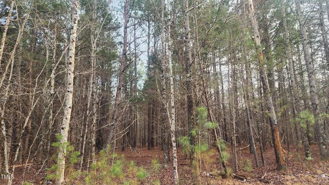 00 Northpointe Farms Trail, Efland, NC 27243