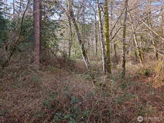 0 Olalla Valley Road SE, Olalla, WA 98359