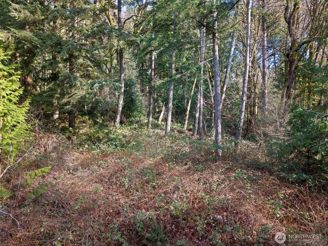 0 Olalla Valley Road SE, Olalla, WA 98359