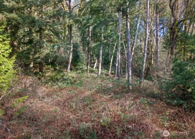 0 Olalla Valley Road SE, Olalla, WA 98359