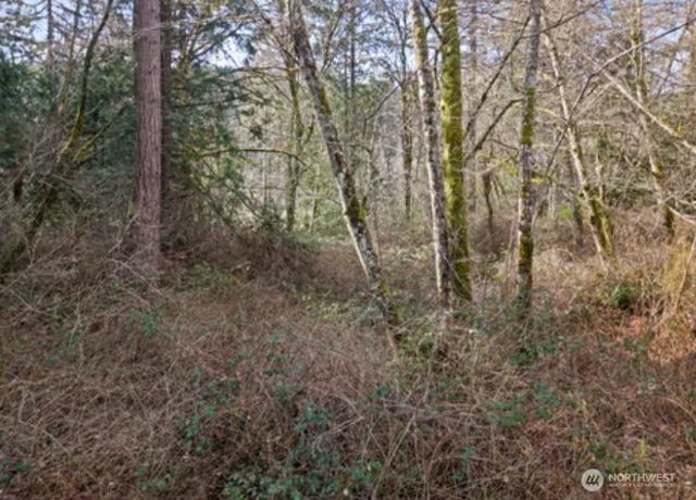 0 Olalla Valley Road SE, Olalla, WA 98359