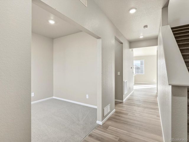 1679 Yampa River Drive, Windsor, CO 80550