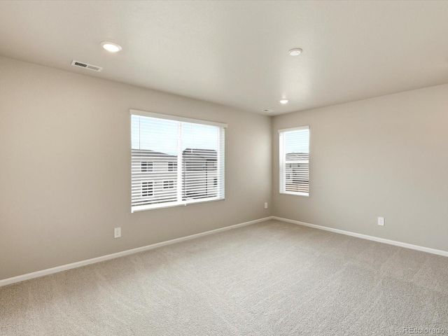 1679 Yampa River Drive, Windsor, CO 80550
