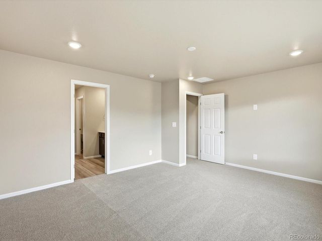 1679 Yampa River Drive, Windsor, CO 80550