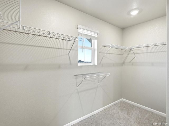 1679 Yampa River Drive, Windsor, CO 80550