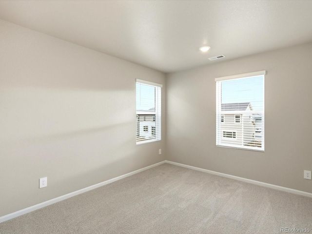 1679 Yampa River Drive, Windsor, CO 80550