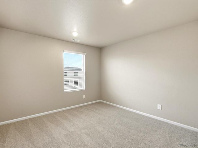 1679 Yampa River Drive, Windsor, CO 80550