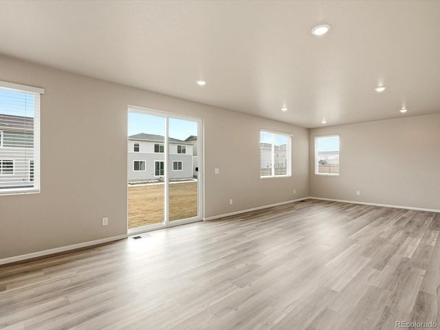 1679 Yampa River Drive, Windsor, CO 80550