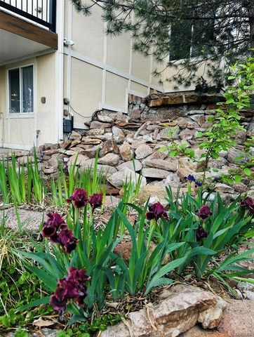 2989 E 135th Place, Thornton, CO 80241