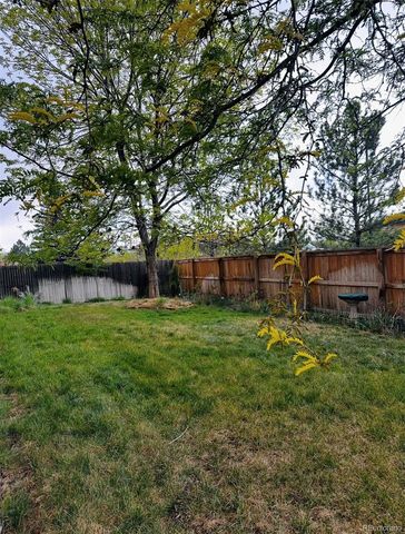 2989 E 135th Place, Thornton, CO 80241