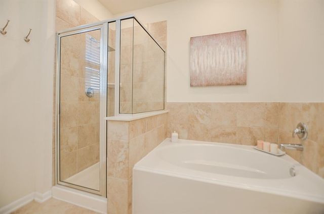 25319 Western Sage Lane, Richmond, TX 77406