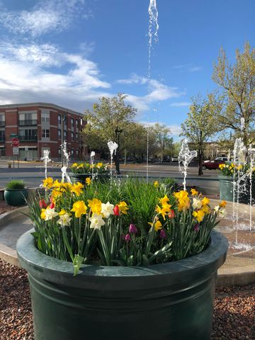 301 Central Avenue NE 300, Albuquerque, NM 87102