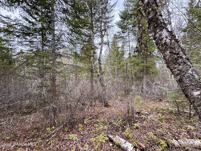 NNA No End Road, Cocolalla, ID 83813