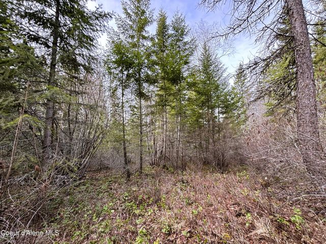 NNA No End Road, Cocolalla, ID 83813