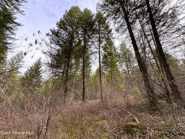 NNA No End Road, Cocolalla, ID 83813