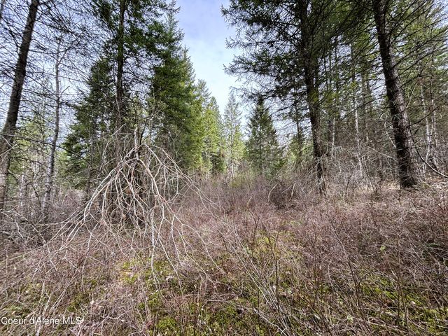 NNA No End Road, Cocolalla, ID 83813