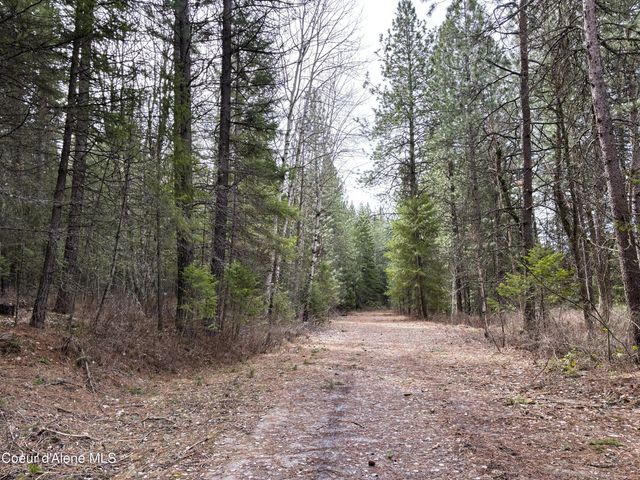NNA No End Road, Cocolalla, ID 83813