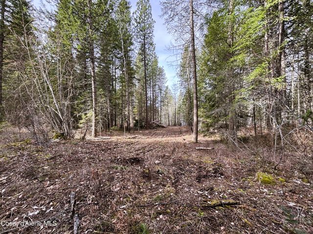 NNA No End Road, Cocolalla, ID 83813