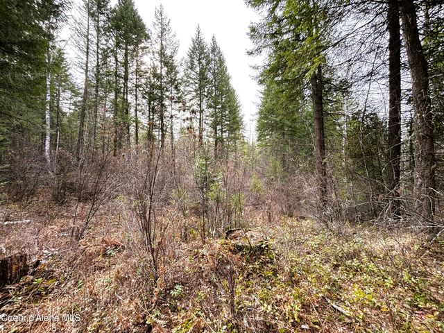 NNA No End Road, Cocolalla, ID 83813