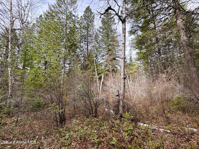 NNA No End Road, Cocolalla, ID 83813