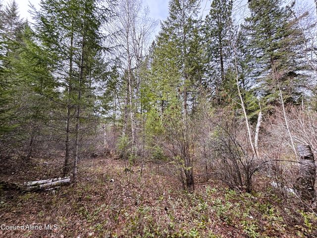 NNA No End Road, Cocolalla, ID 83813