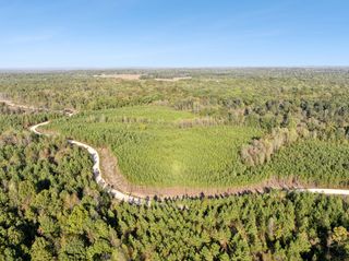 0 Cox Hollow Rd, Dover, TN 37058