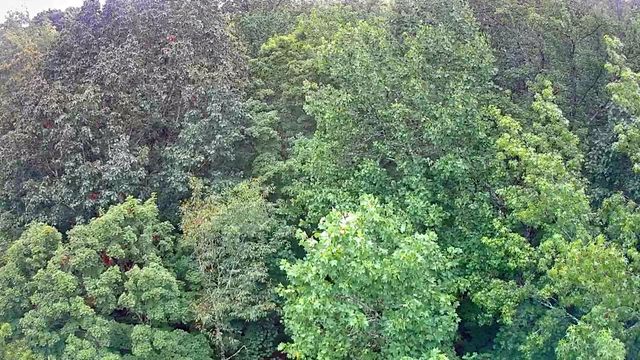 0 Highway 156, South Pittsburg, TN 37380
