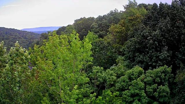 0 Highway 156, South Pittsburg, TN 37380