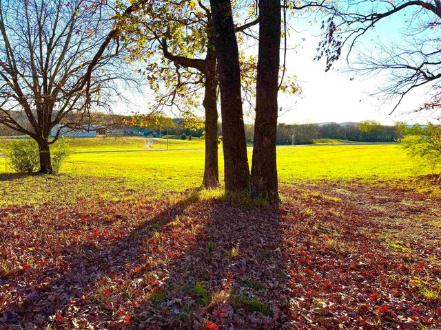 XXX HWY 84, Glenwood, AR 71943