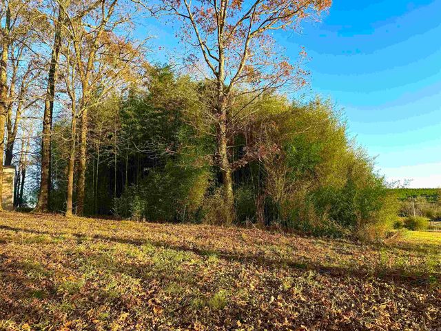 XXX HWY 84, Glenwood, AR 71943