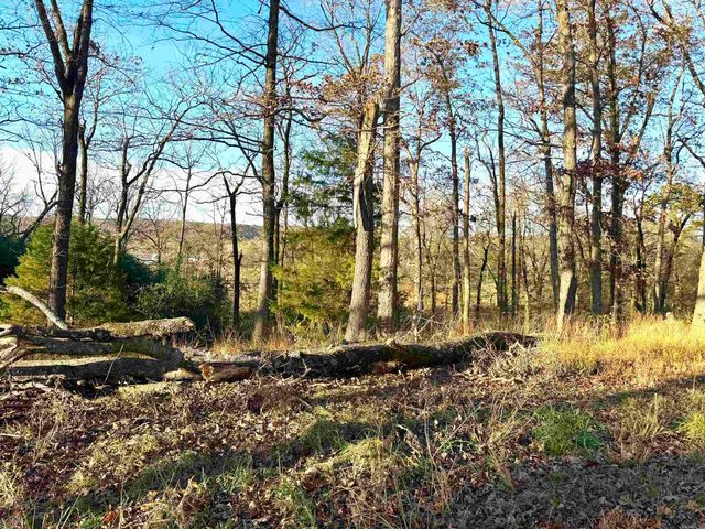 XXX HWY 84, Glenwood, AR 71943