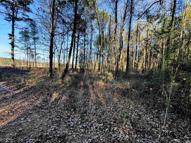 XXX HWY 84, Glenwood, AR 71943