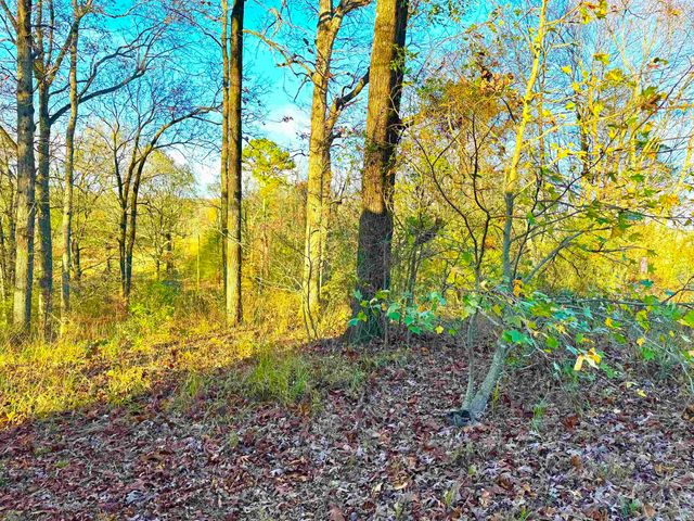 XXX HWY 84, Glenwood, AR 71943