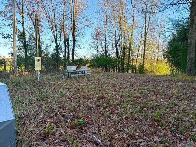 XXX HWY 84, Glenwood, AR 71943