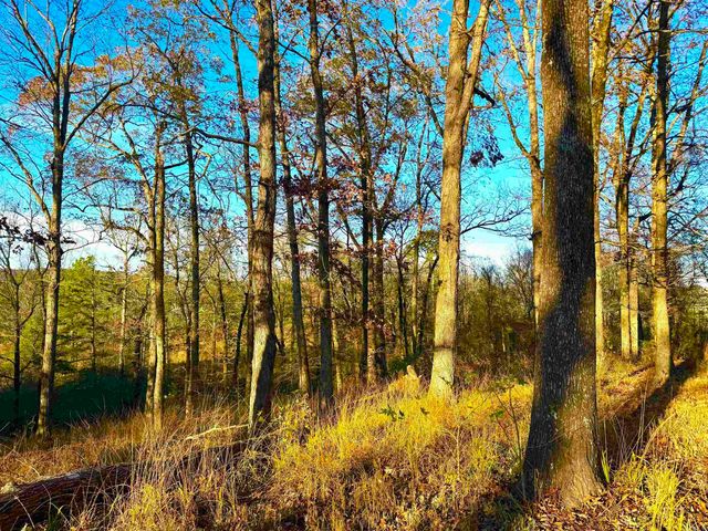 XXX HWY 84, Glenwood, AR 71943