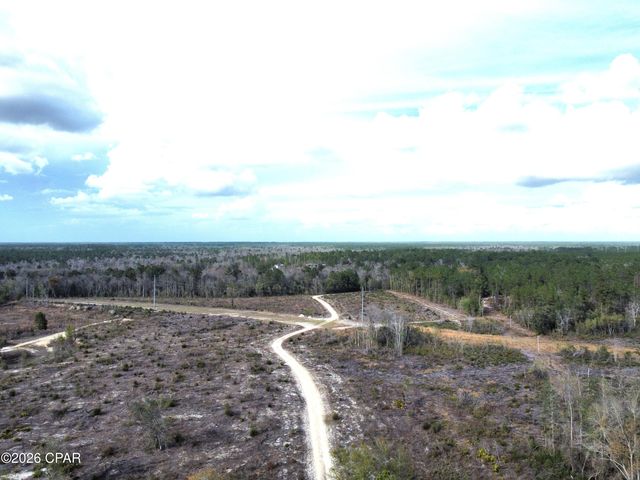 15089 NE Granny Annie Road, Hosford, FL 32334