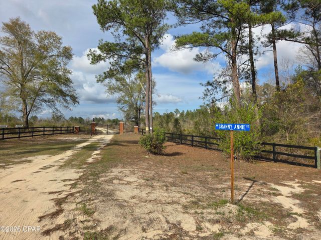 15089 NE Granny Annie Road, Hosford, FL 32334